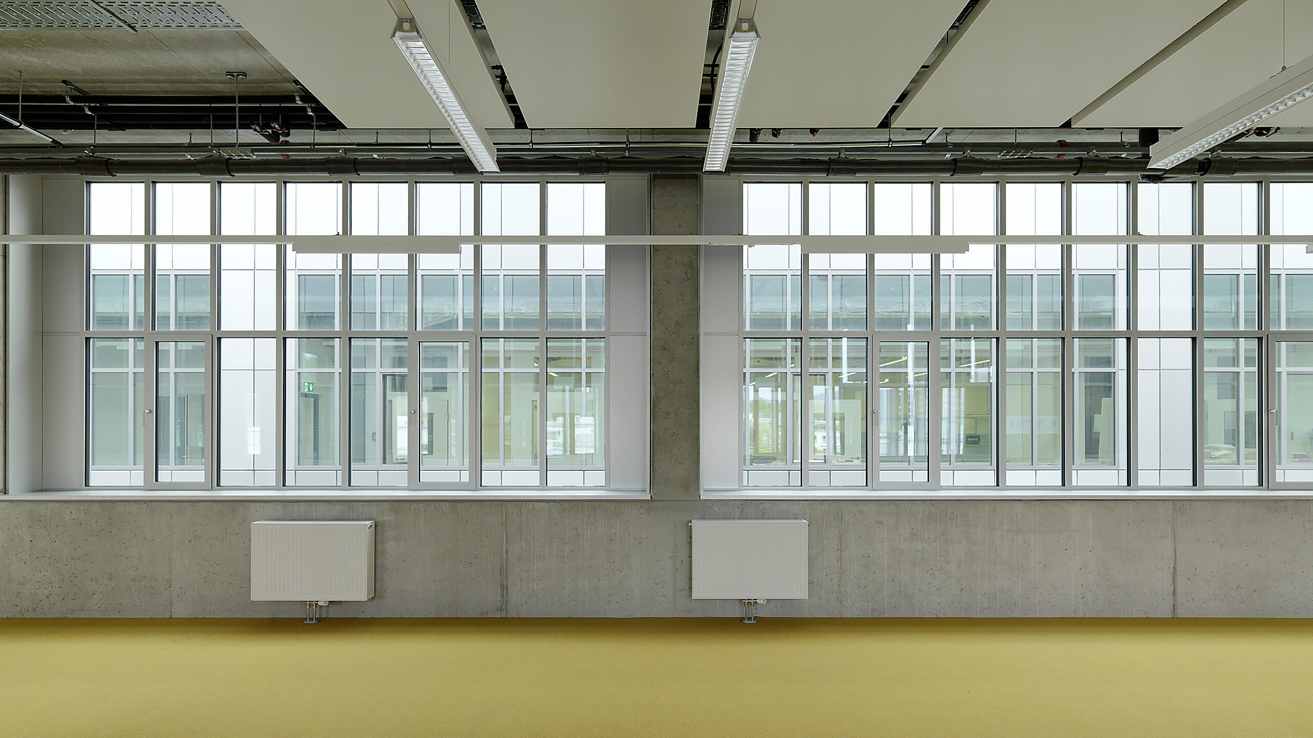 paul ott ZWT scaled jpg